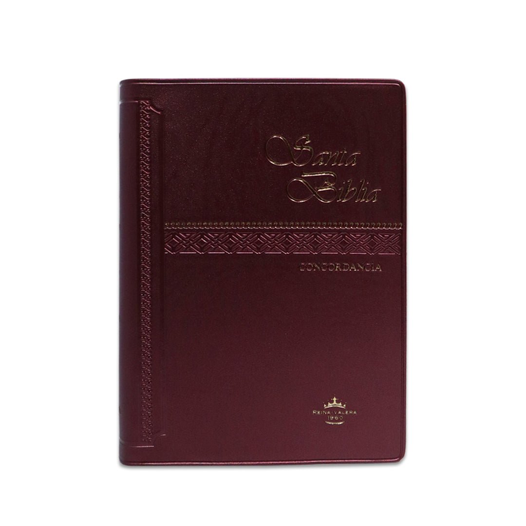 SANTA BIBLIA RV1960 CONCORDANCIA VINIL COLORES - Levítico