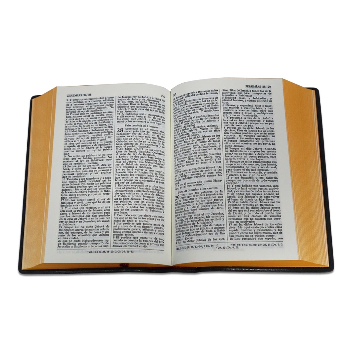 SANTA BIBLIA RV1960 CONCORDANCIA VINIL COLORES - Levítico