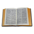 SANTA BIBLIA RV1960 CONCORDANCIA VINIL COLORES - Levítico