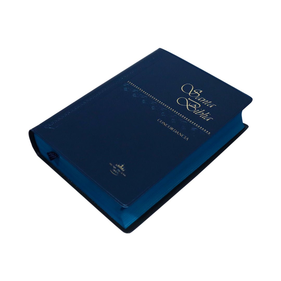 SANTA BIBLIA RV1960 CONCORDANCIA VINIL COLORES - Levítico