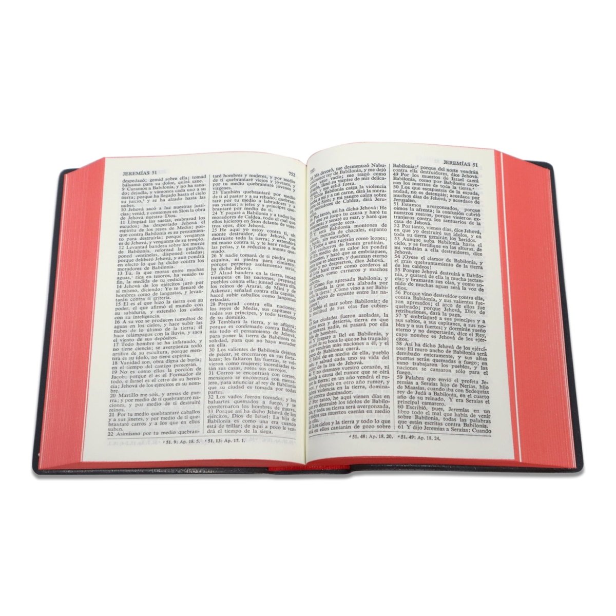 SANTA BIBLIA RV1960 CONCORDANCIA VINIL COLORES - Levítico