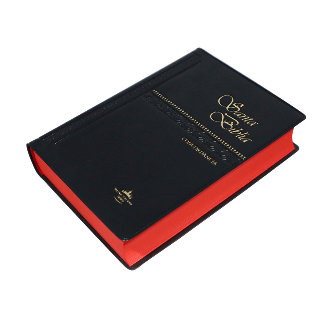 SANTA BIBLIA RV1960 CONCORDANCIA VINIL COLORES - Levítico