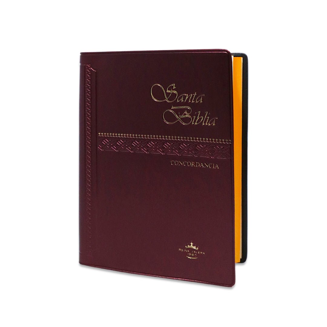 SANTA BIBLIA RV1960 CONCORDANCIA VINIL COLORES - Levítico
