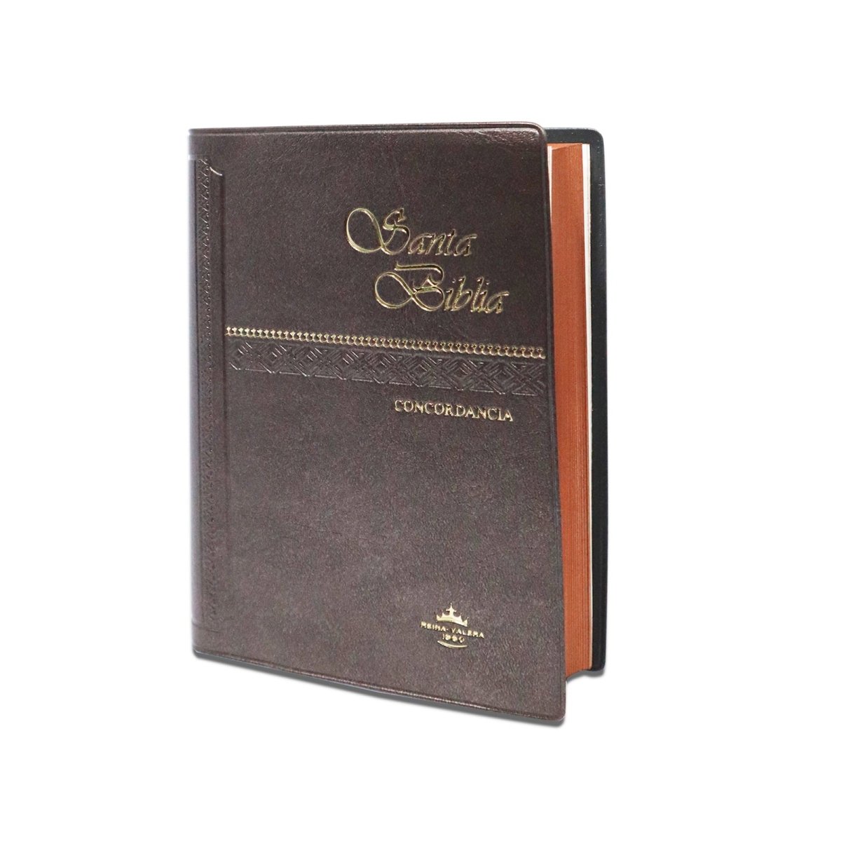 SANTA BIBLIA RV1960 CONCORDANCIA VINIL COLORES - Levítico