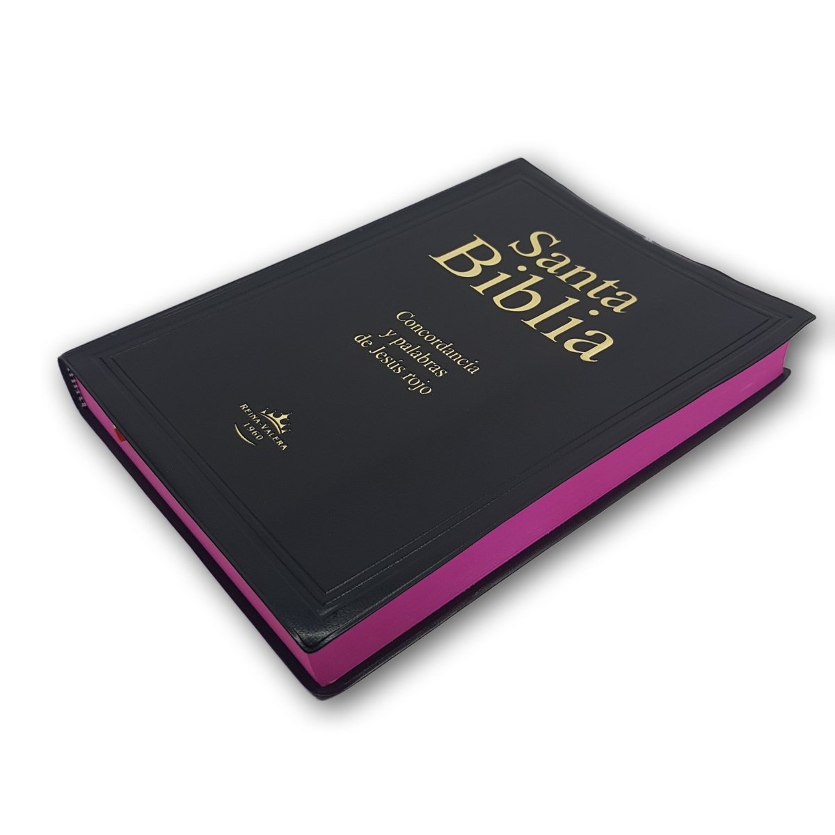 Santa Biblia RVR 1960 Letra Gigante Vinil Colores