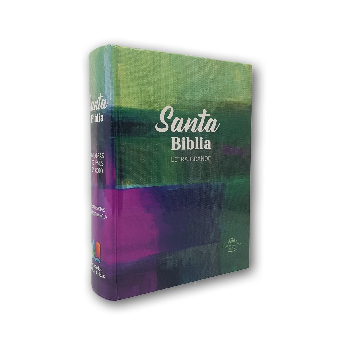 Santa Biblia RVR1960 Letra grande Tapa dura Colores - Levítico