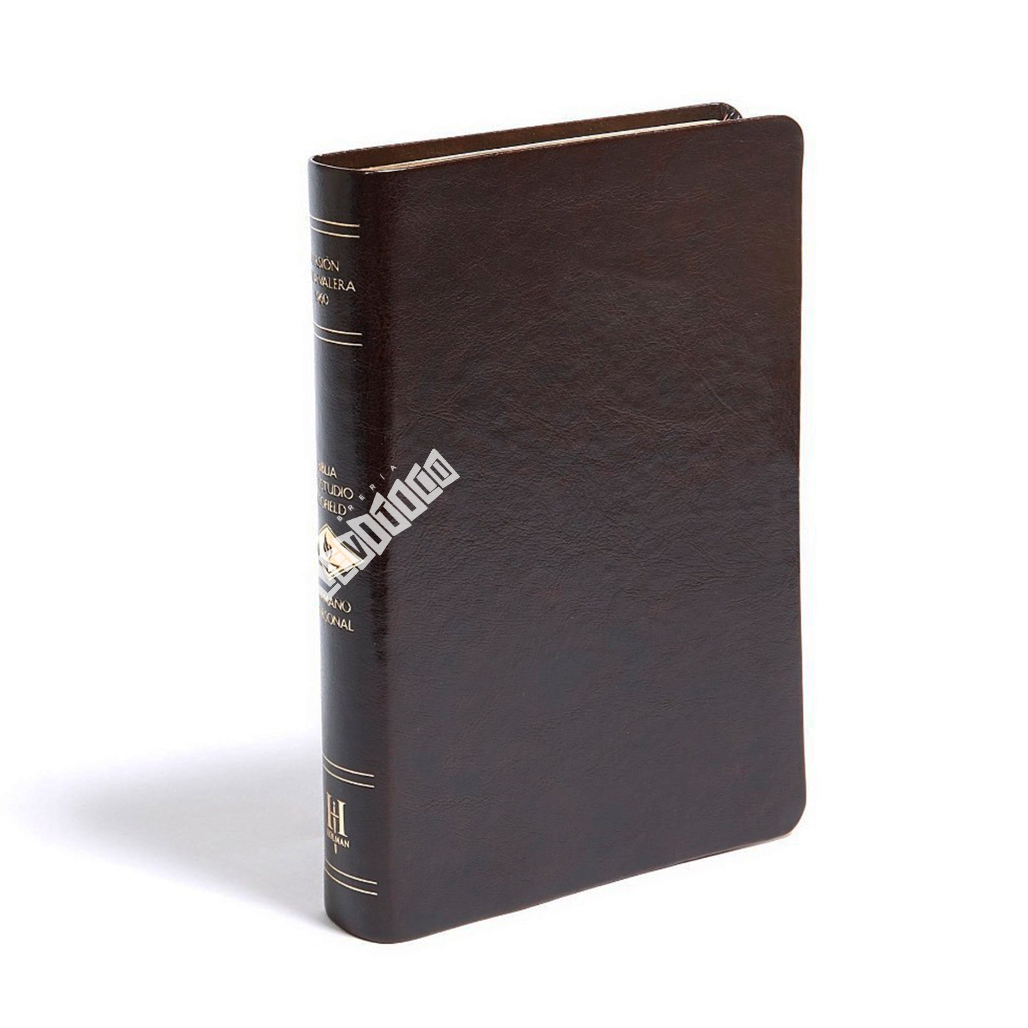Biblia de Estudio Scofield RVR1960 (Tamaño personal)