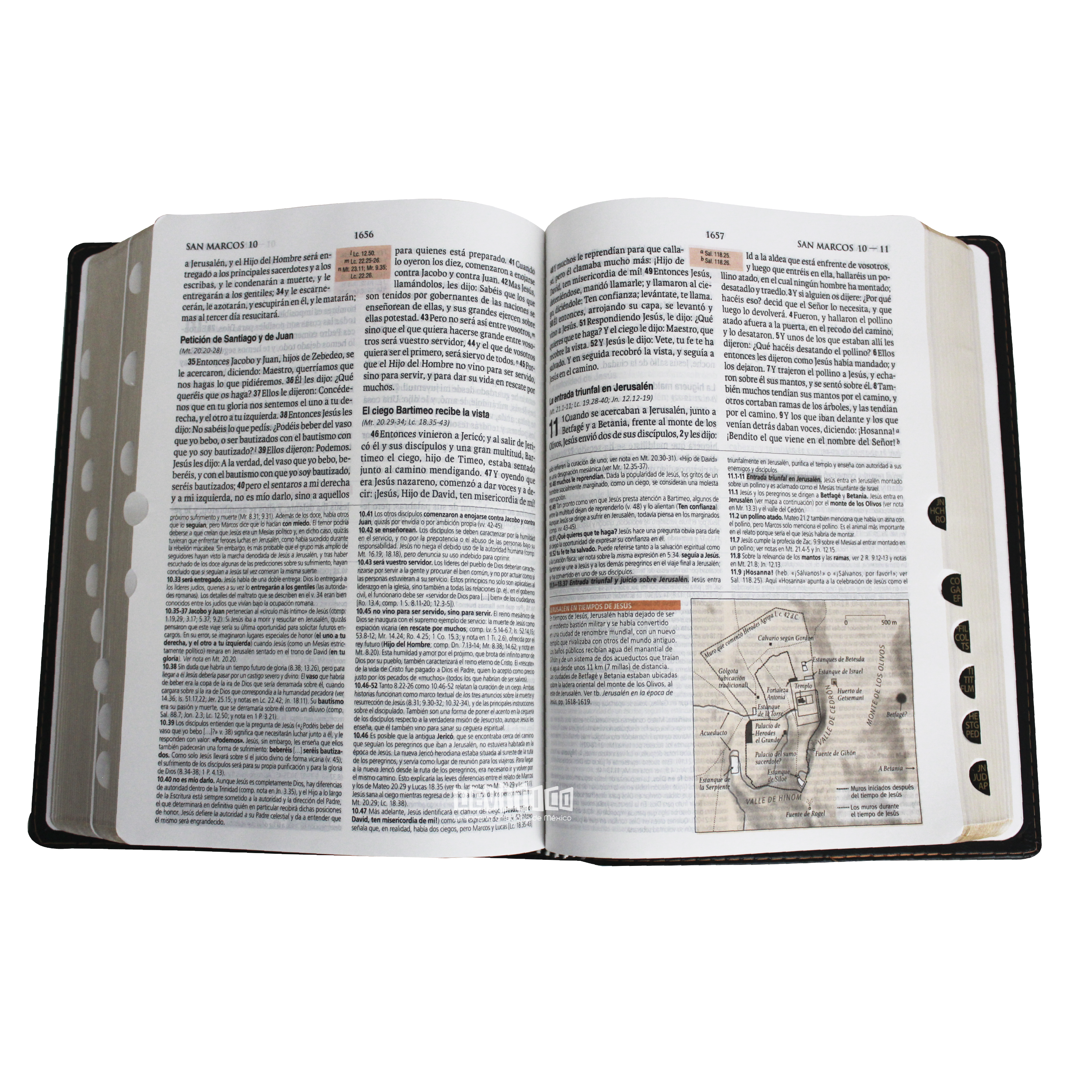 Biblia de Estudio Teológico RVR60